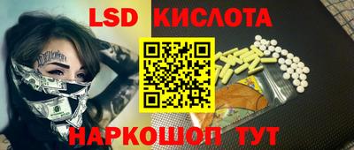 индика Рузаевка