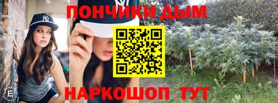 индика Рузаевка