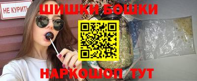 индика Рузаевка