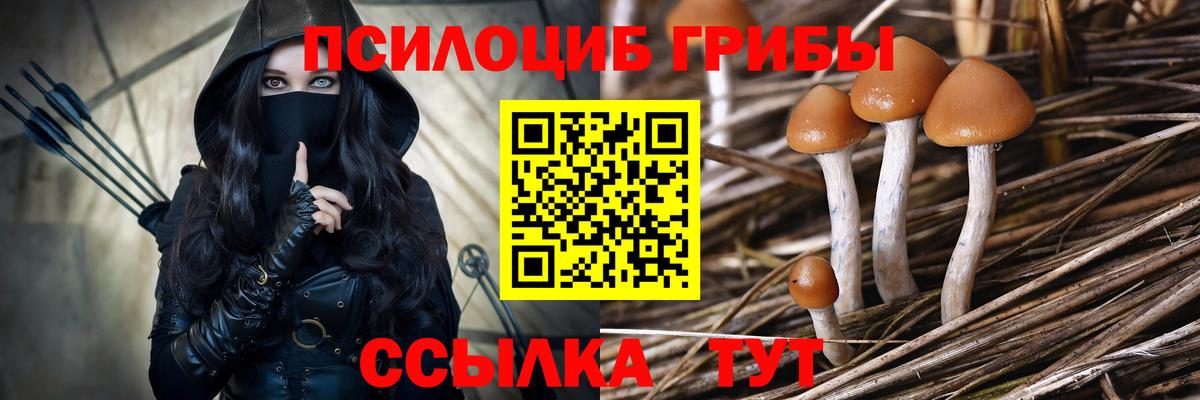 Галлюциногенные грибы мухоморы Сибай
