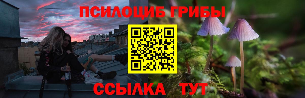 Псилоцибиновые грибы GOLDEN TEACHER  Вход с VPN  Сибай  купить наркотики сайты  Псилоцибиновые грибы мухоморы 
